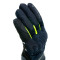 Guanti Dainese Nembo Gore-Tex 