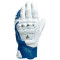 Dainese 4-Stroke 2 Handschuhe