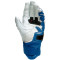 Dainese 4-Stroke 2 Handschuhe