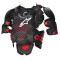 ALPINESTARS A-10 V2