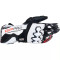 ALPINESTARS GP PRO R4 - Modèle BLACK/WHITE